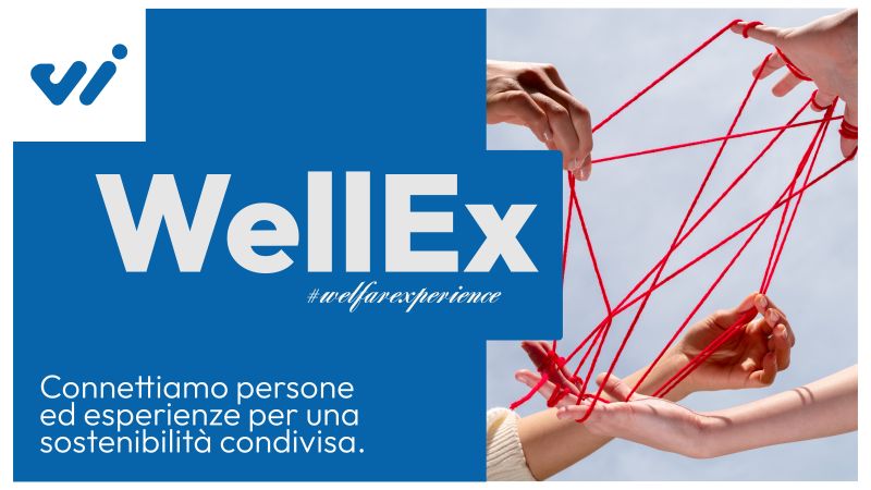 wellex immagine